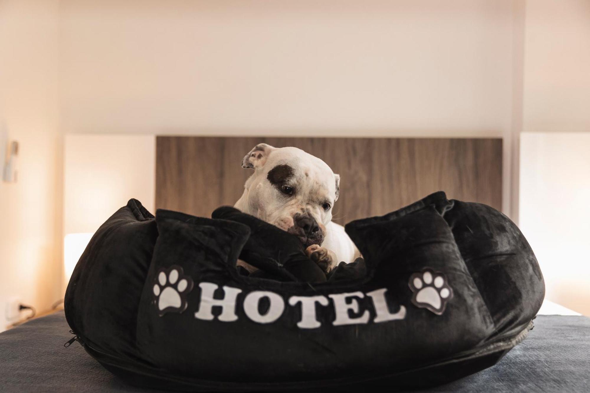 Hotel Boutique Bussines Center Cali Bagian luar foto