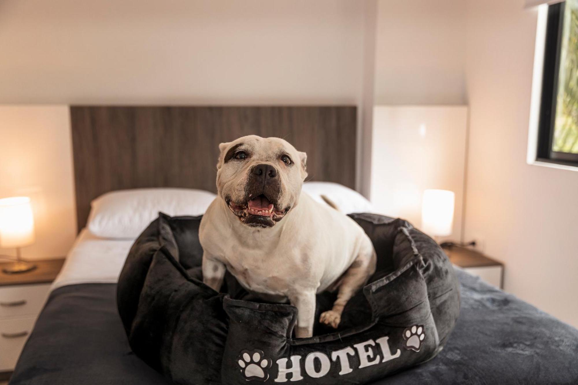 Hotel Boutique Bussines Center Cali Bagian luar foto
